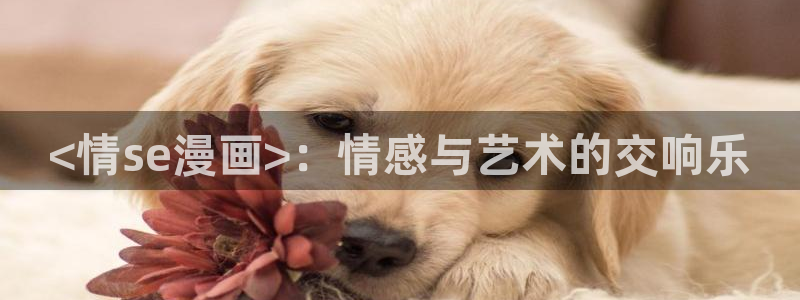汗汗漫画网址入口：<情se漫画>：情感与艺术的交响乐