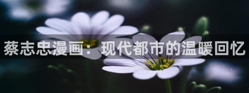 汗汗漫画看：蔡志忠漫画：现代都市的温暖回忆