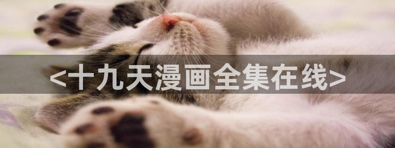 汗汗漫画免费无删减：<十九天漫画全集在线>