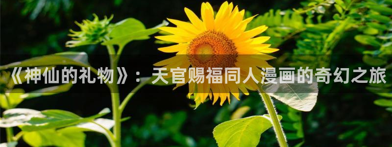 汗汗漫画――歪歪漫画免费：《神仙的礼物》：天官赐福同人漫画的奇幻之旅