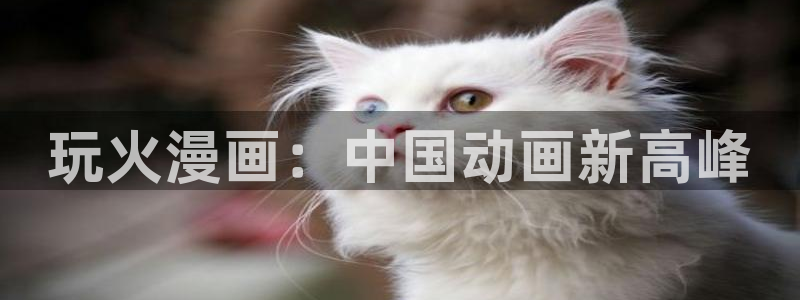 汗汗漫画+cc：玩火漫画：中国动画新高峰